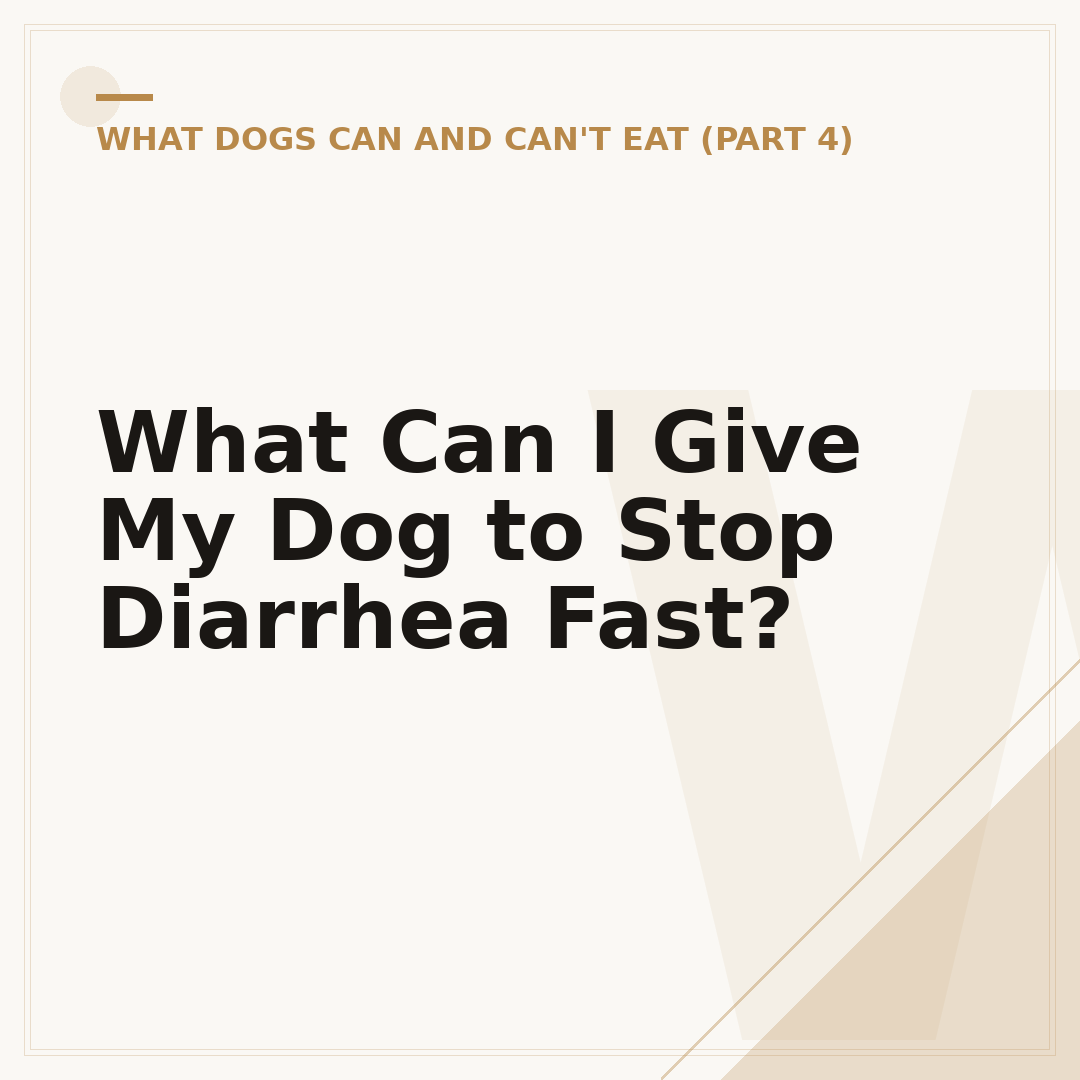 What Can I Give My Dog to Stop Diarrhea Fast?