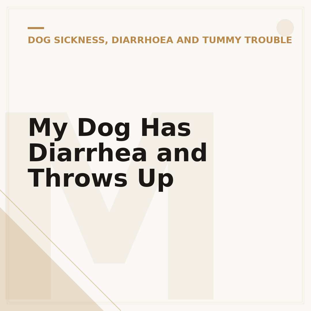 My Dog Has Diarrhea and Throws Up