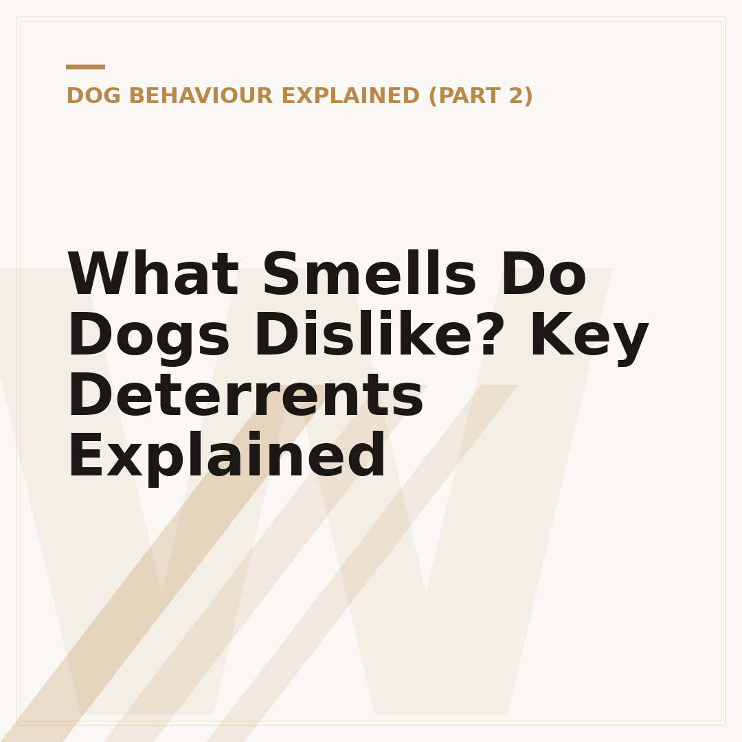 What Smells Do Dogs Dislike? Key Deterrents Explained