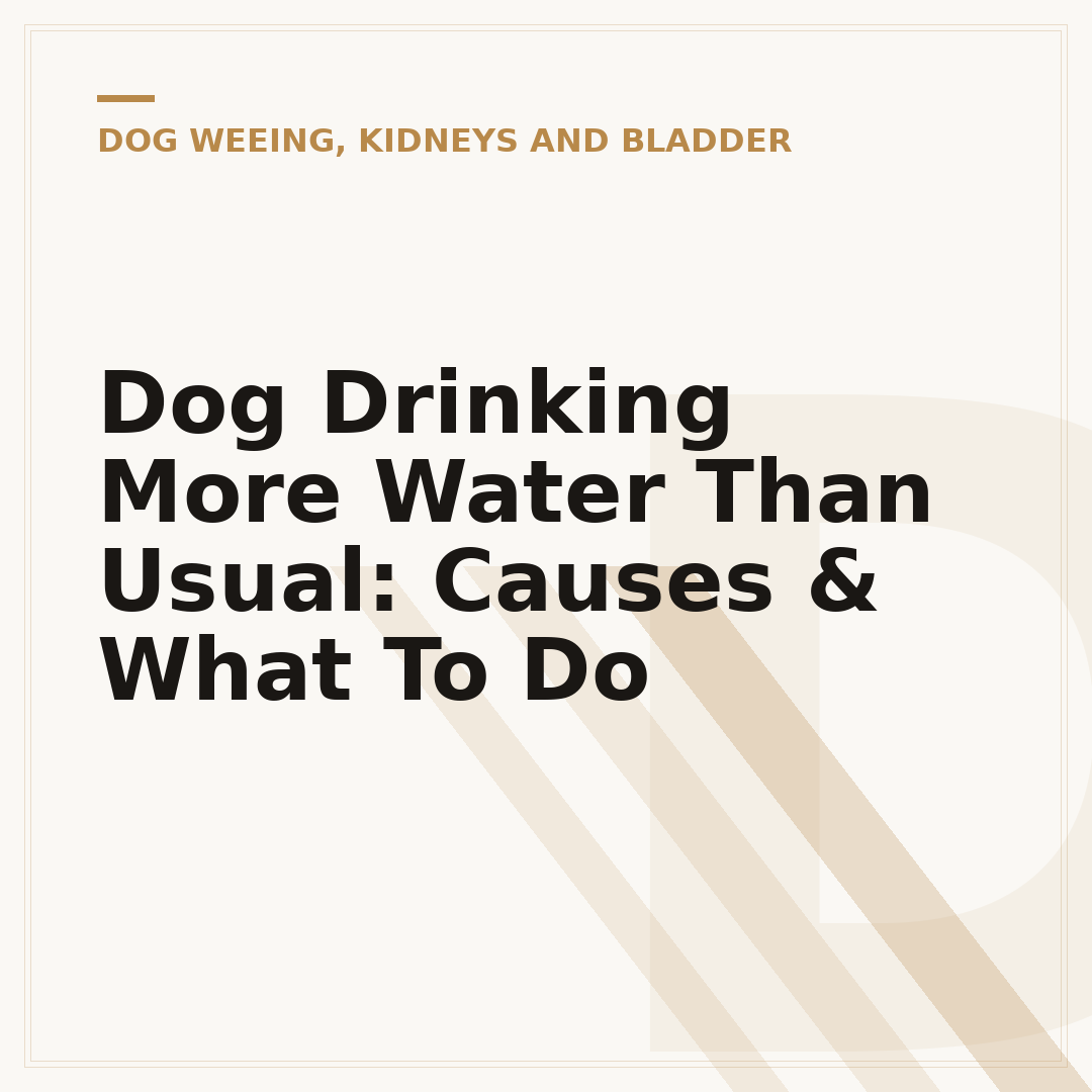 Dog Drinking More Water Than Usual: Causes & What To Do