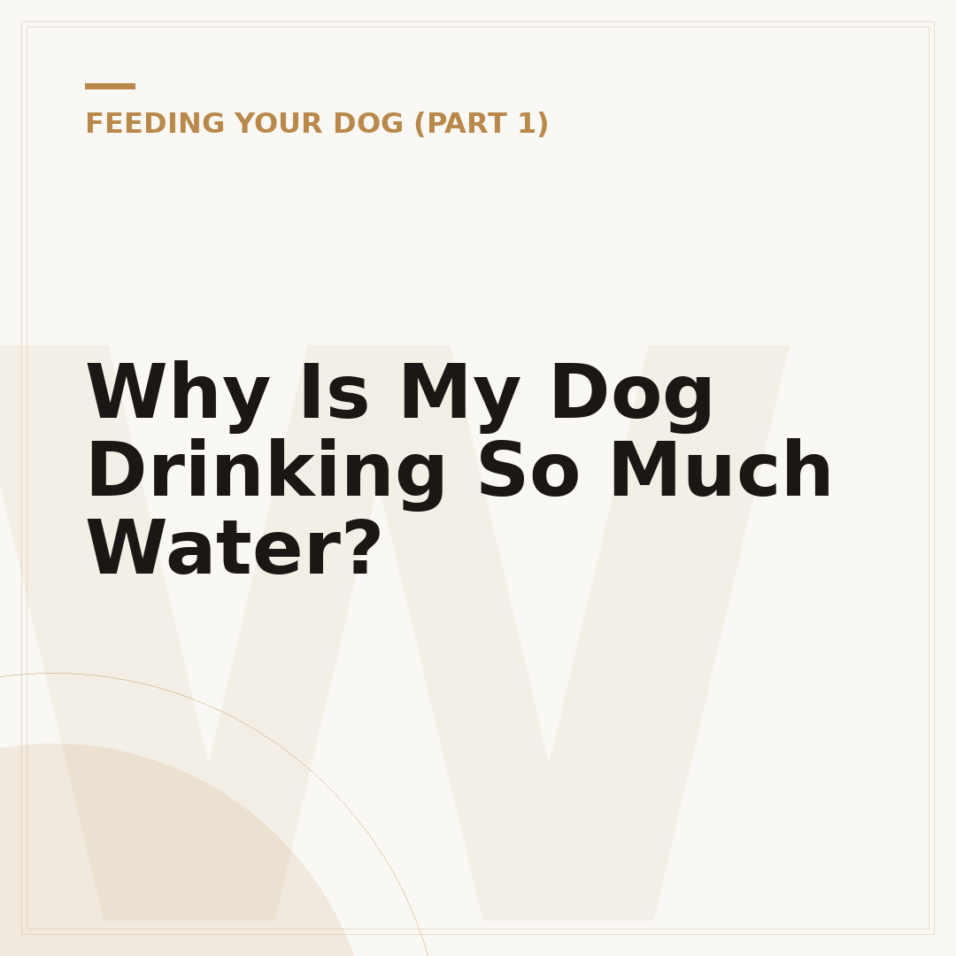 Why Is My Dog Drinking So Much Water?