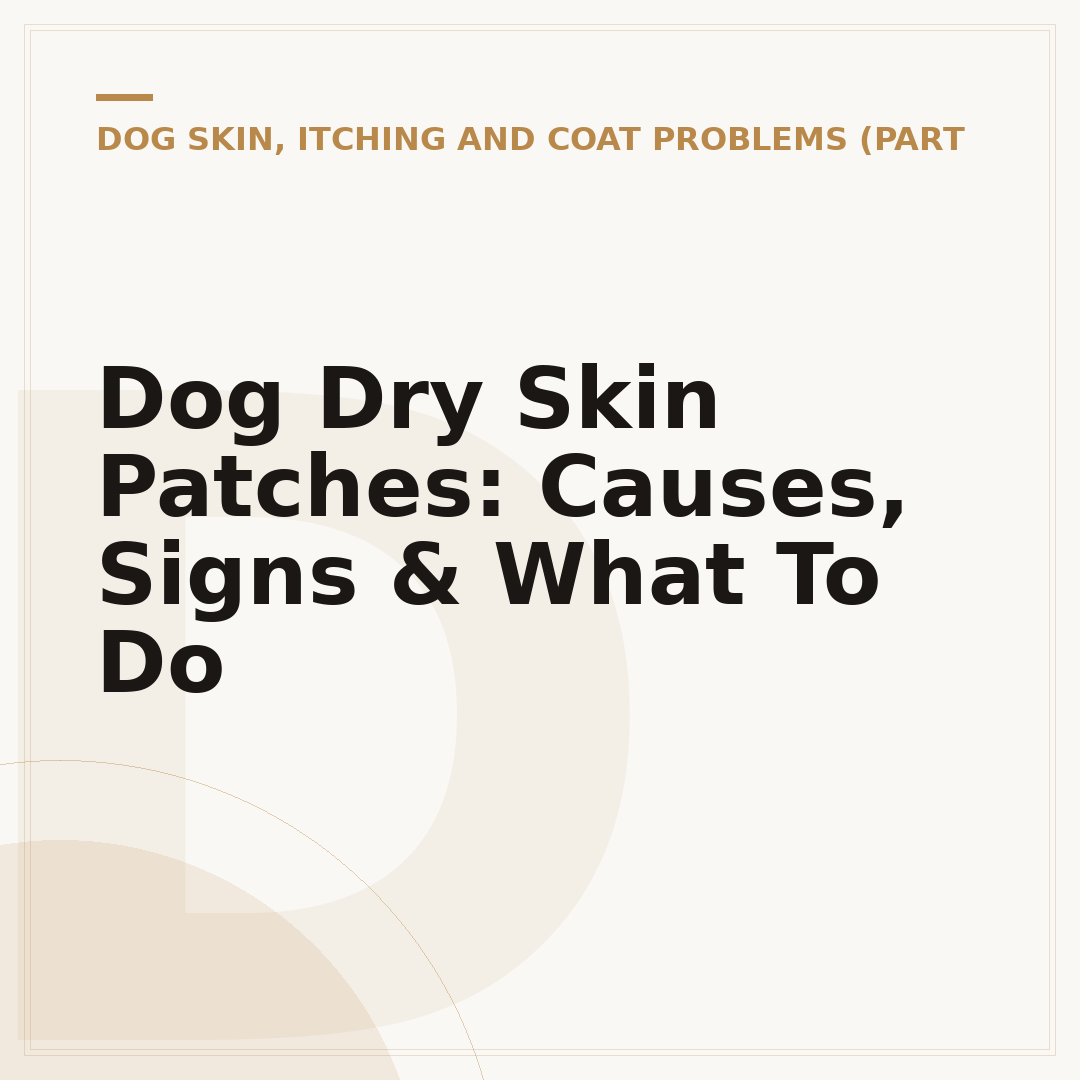 Dog Dry Skin Patches: Causes, Signs & What To Do