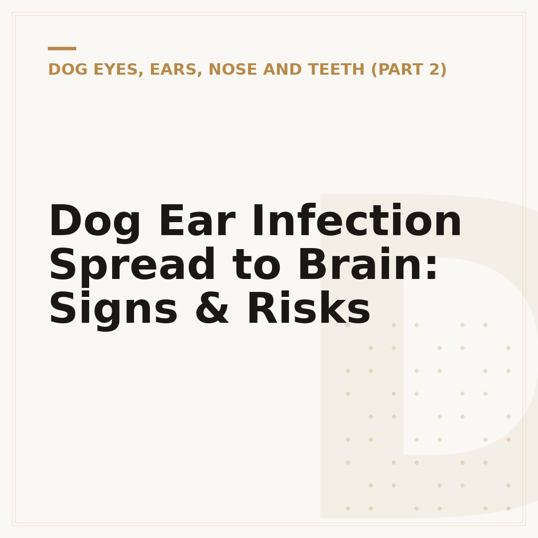 Dog Ear Infection Spread to Brain: Signs & Risks