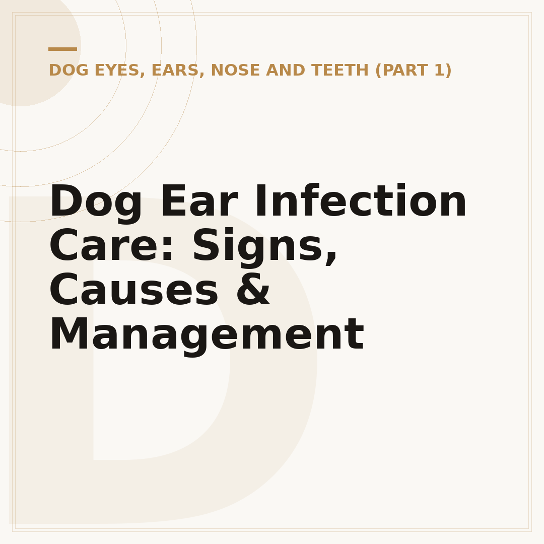 Dog Ear Infection Care: Signs, Causes & Management