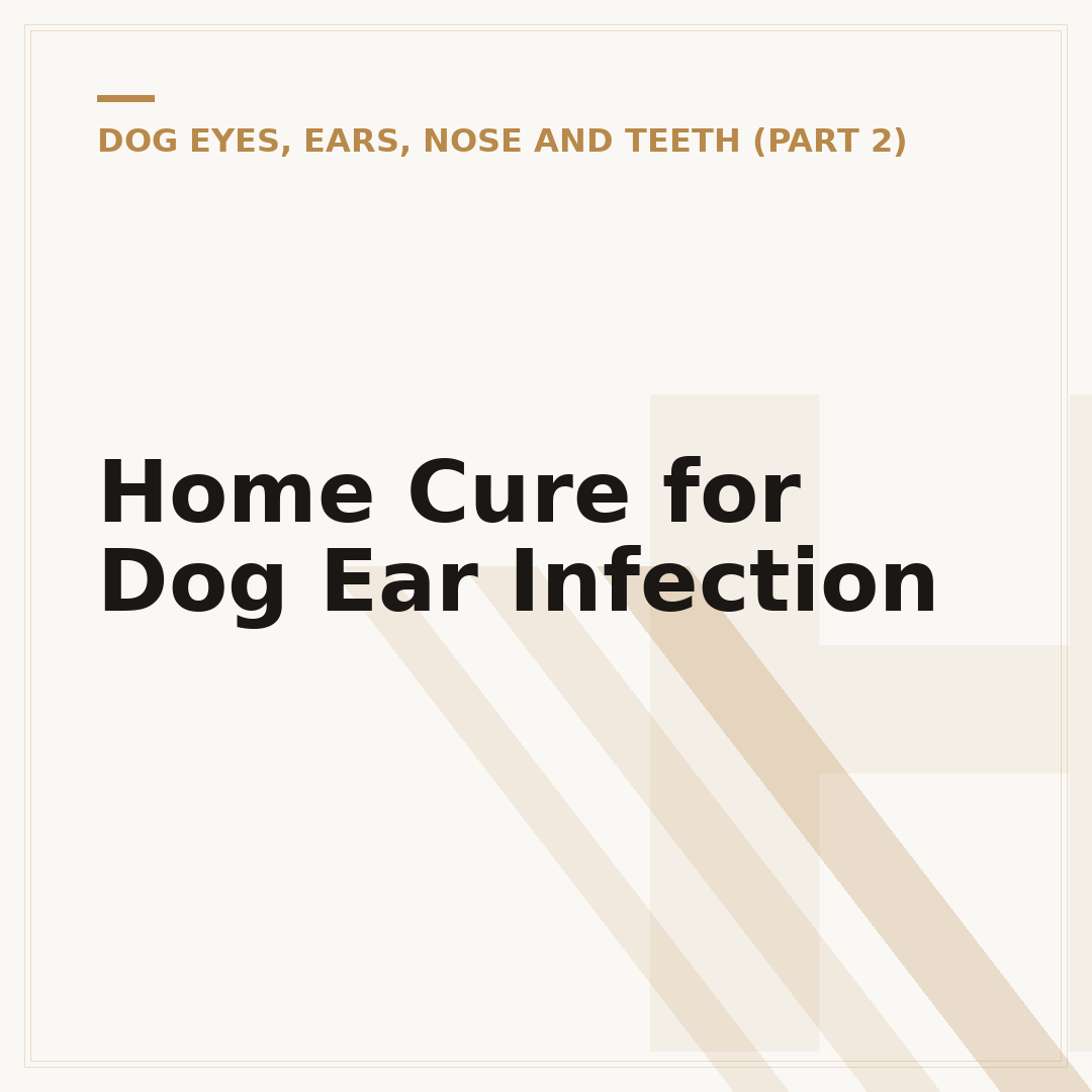 Home Cure for Dog Ear Infection
