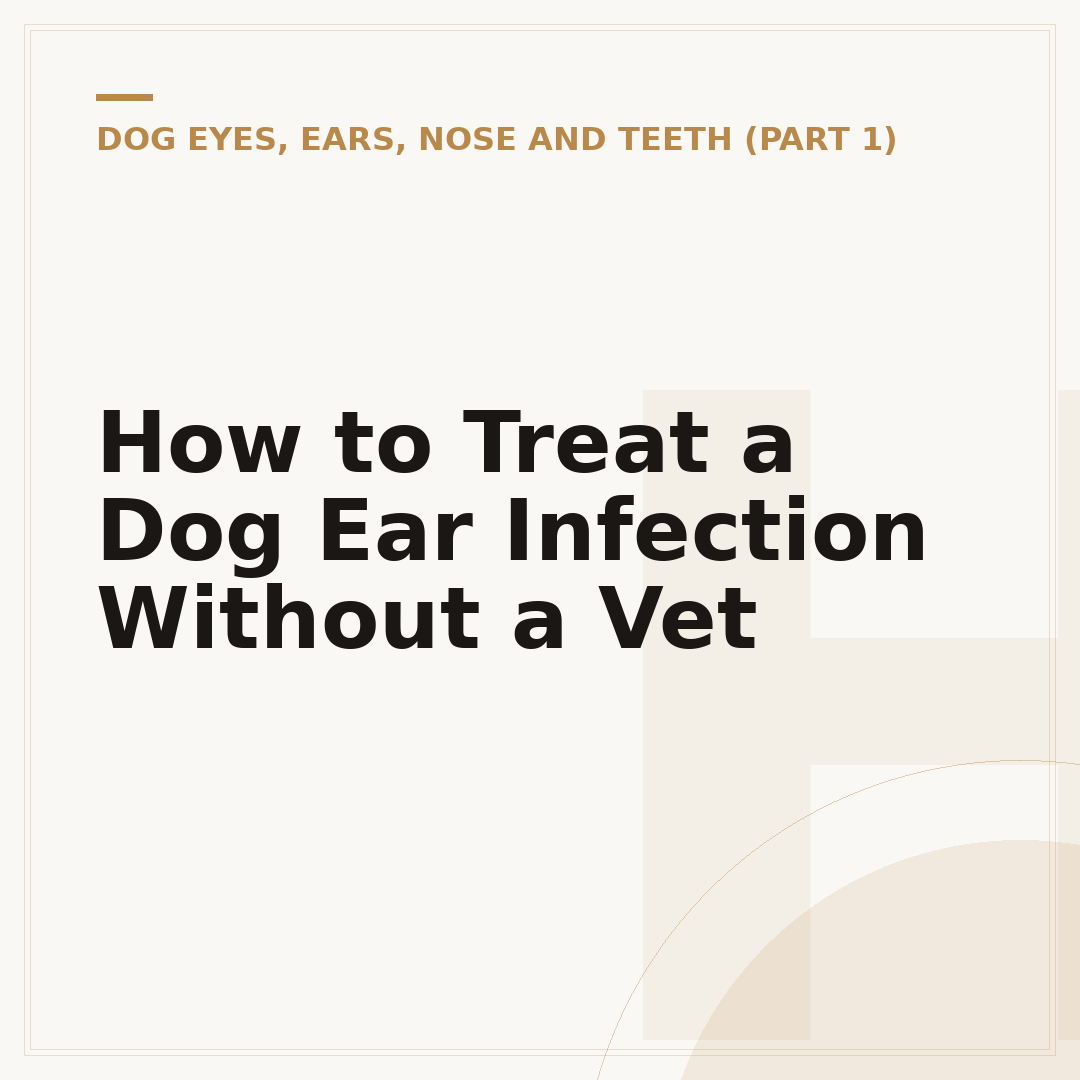 How to Treat a Dog Ear Infection Without a Vet