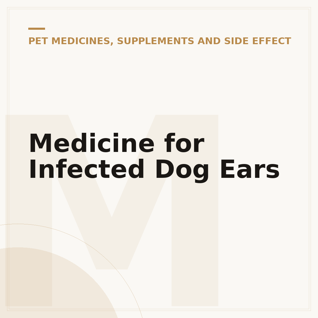 Medicine for Infected Dog Ears