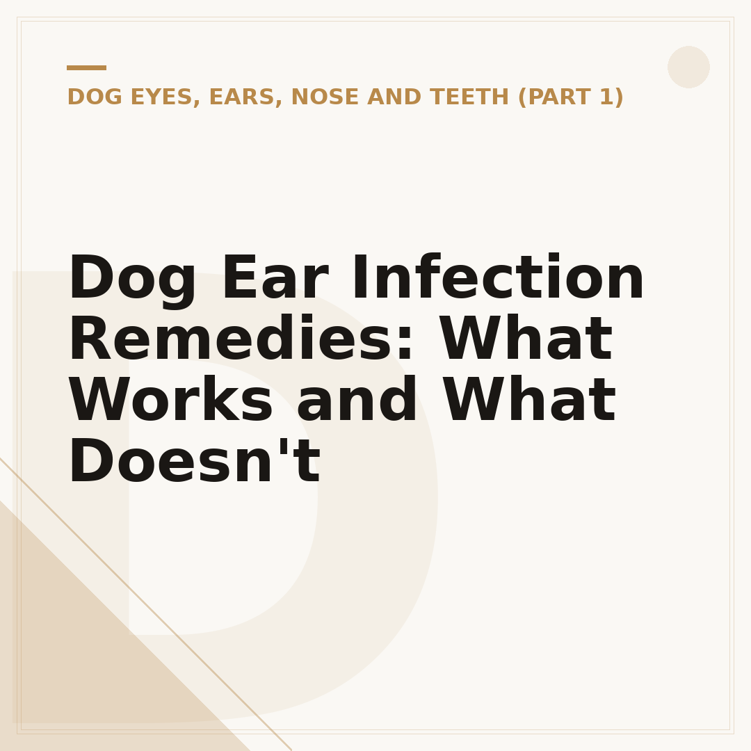 Dog Ear Infection Remedies: What Works and What Doesn't