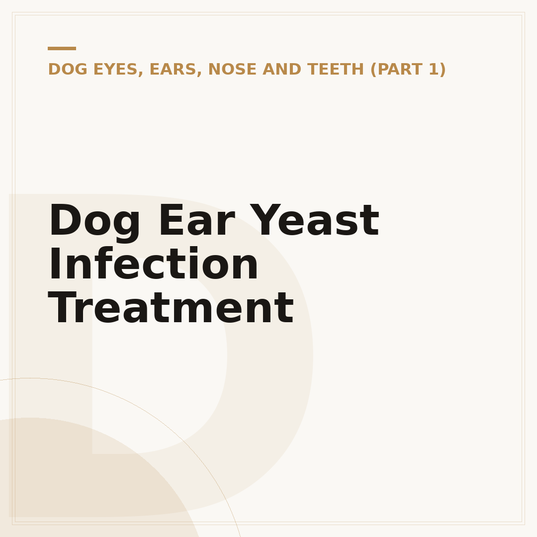 Dog Ear Yeast Infection Treatment