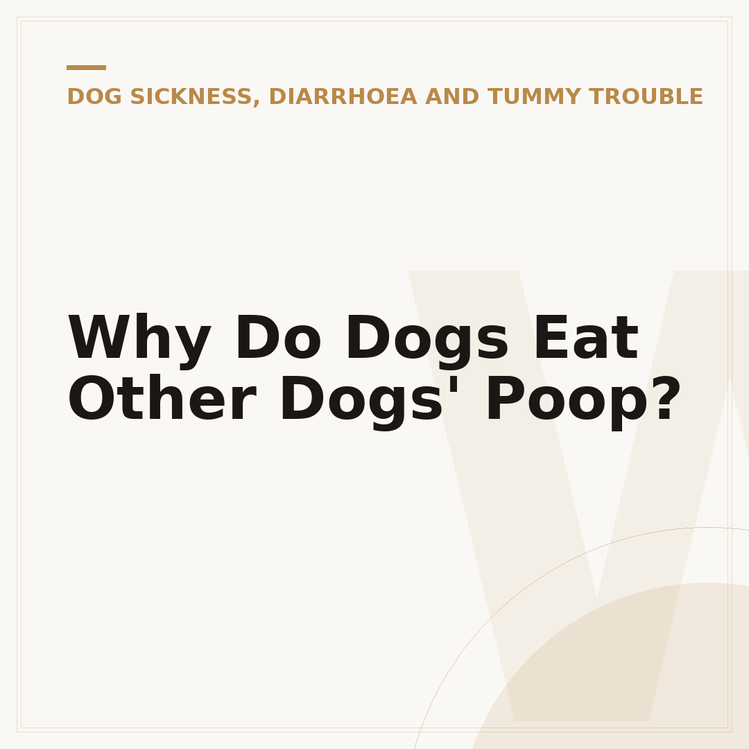 Why Do Dogs Eat Other Dogs' Poop?