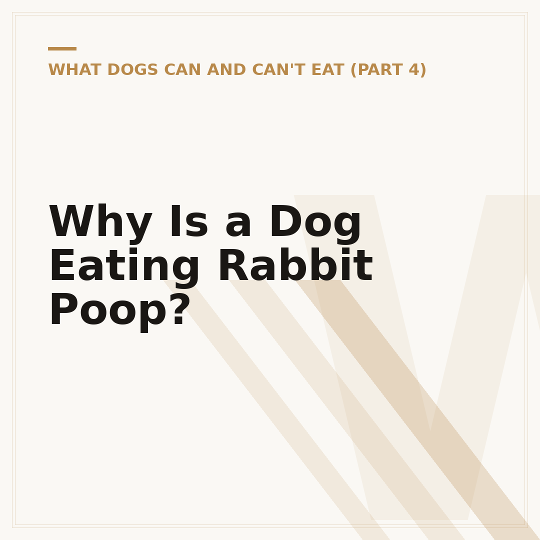 Why Is a Dog Eating Rabbit Poop?