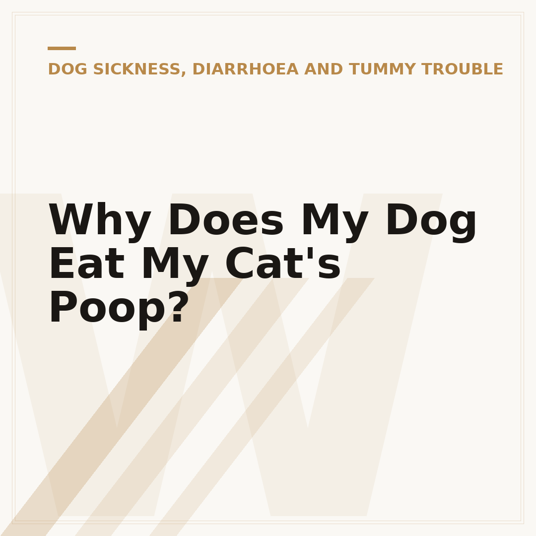Why Does My Dog Eat My Cat's Poop?