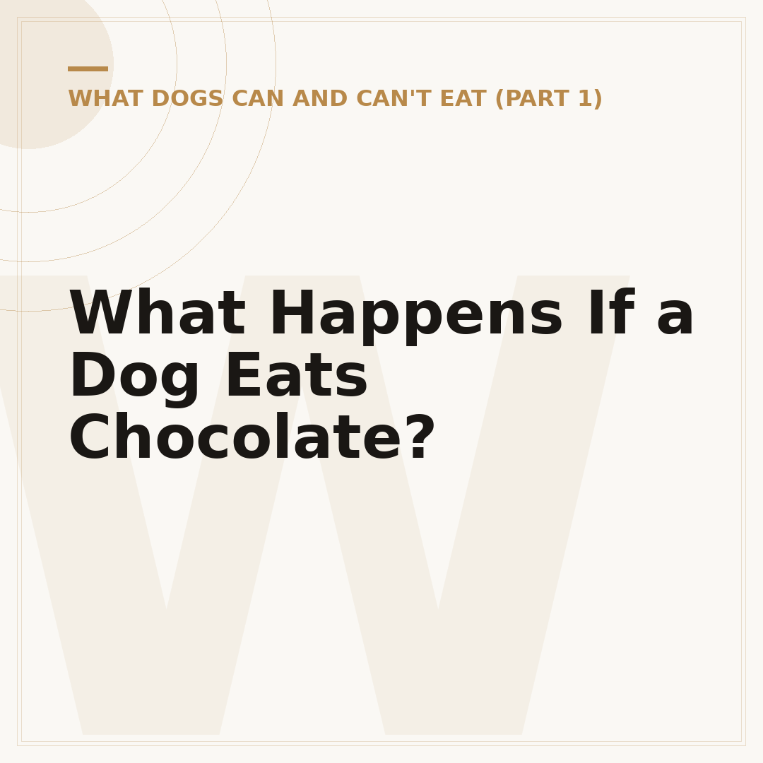 What Happens If a Dog Eats Chocolate?