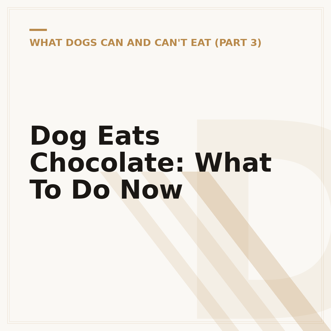 Dog Eats Chocolate: What To Do Now
