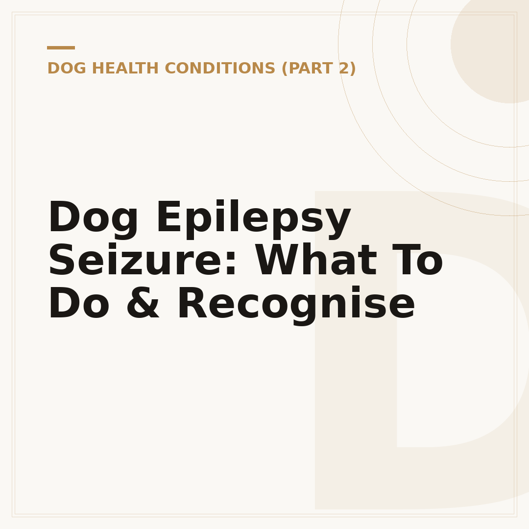 Dog Epilepsy Seizure: What To Do & Recognise