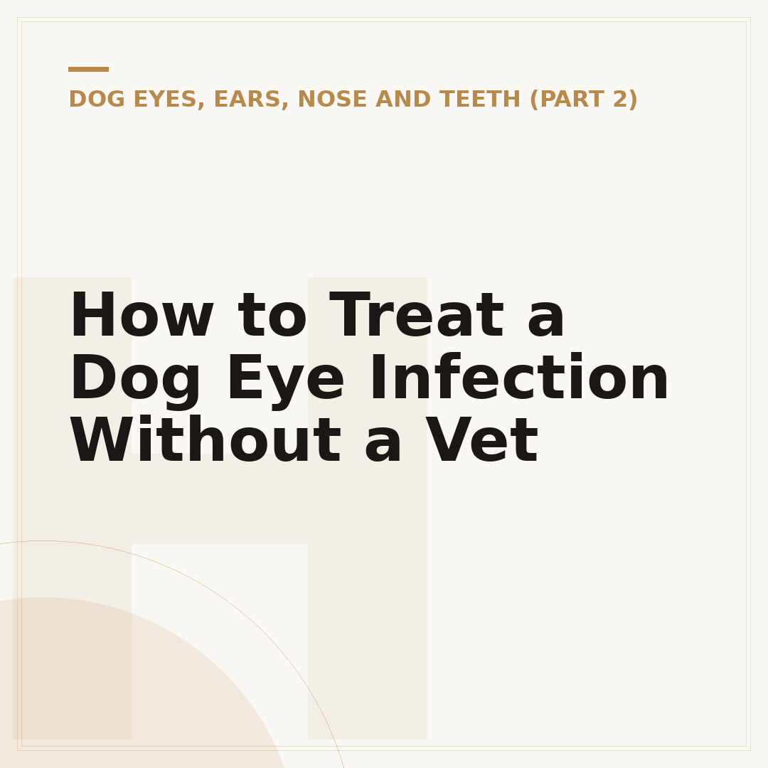 How to Treat a Dog Eye Infection Without a Vet