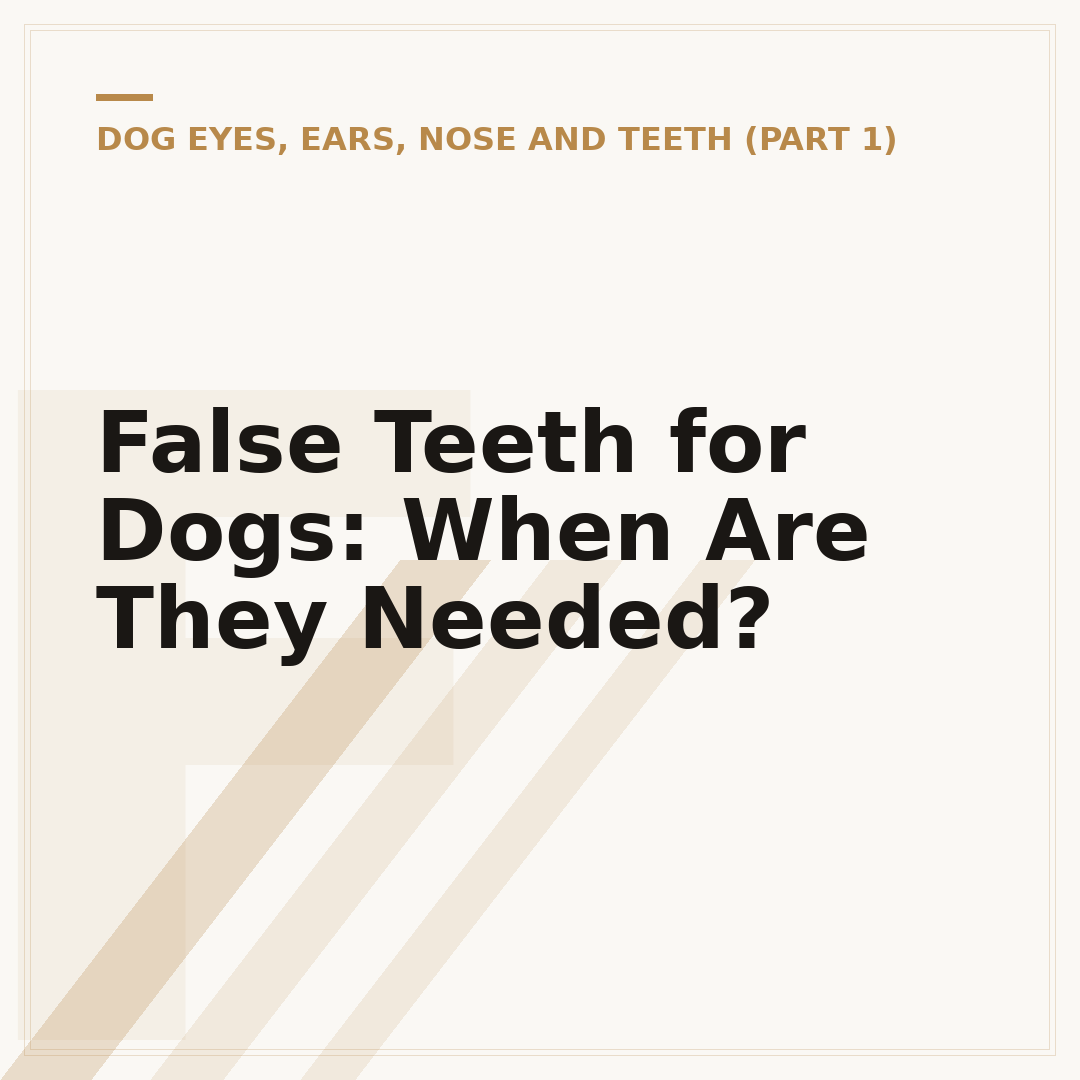 False Teeth for Dogs: When Are They Needed?