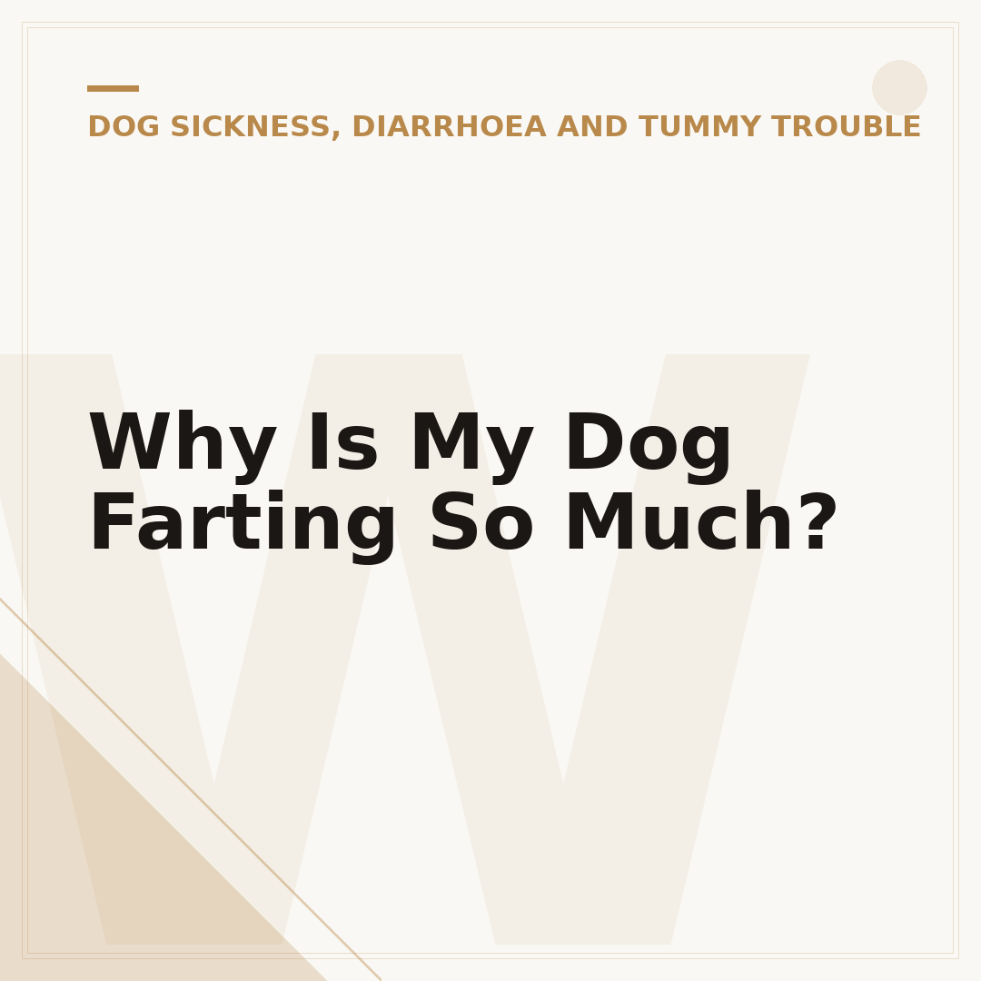 Why Is My Dog Farting So Much?