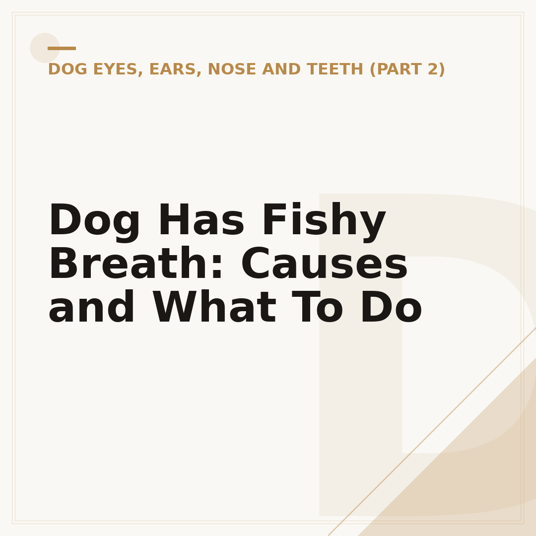Dog Has Fishy Breath: Causes and What To Do