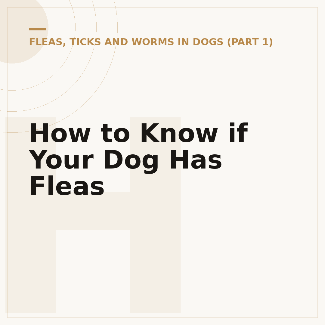 How to Know if Your Dog Has Fleas
