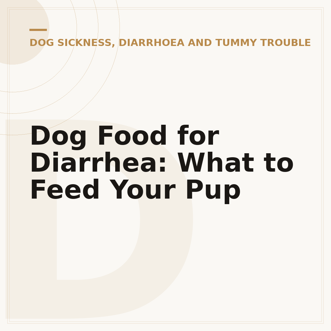 Dog Food for Diarrhea: What to Feed Your Pup