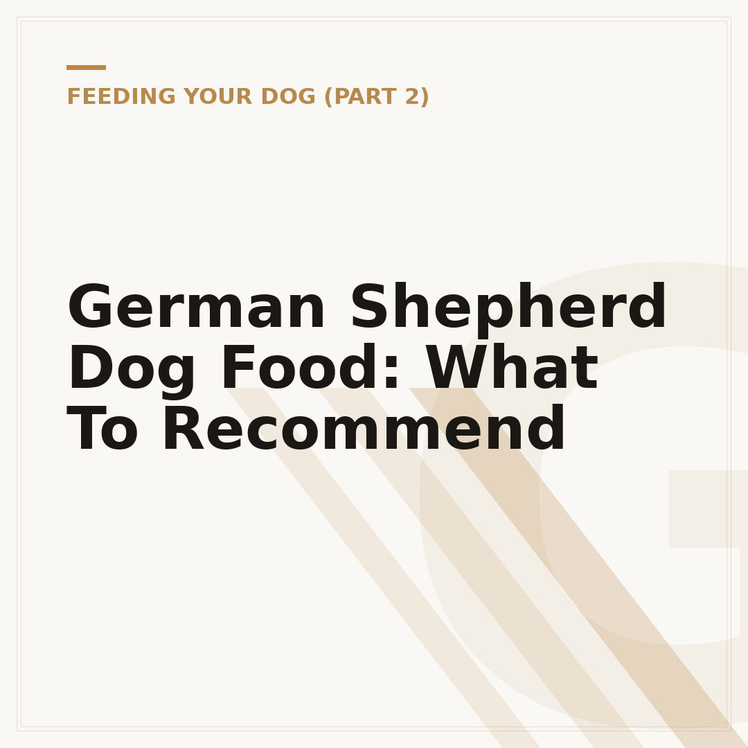 German Shepherd Dog Food: What To Recommend
