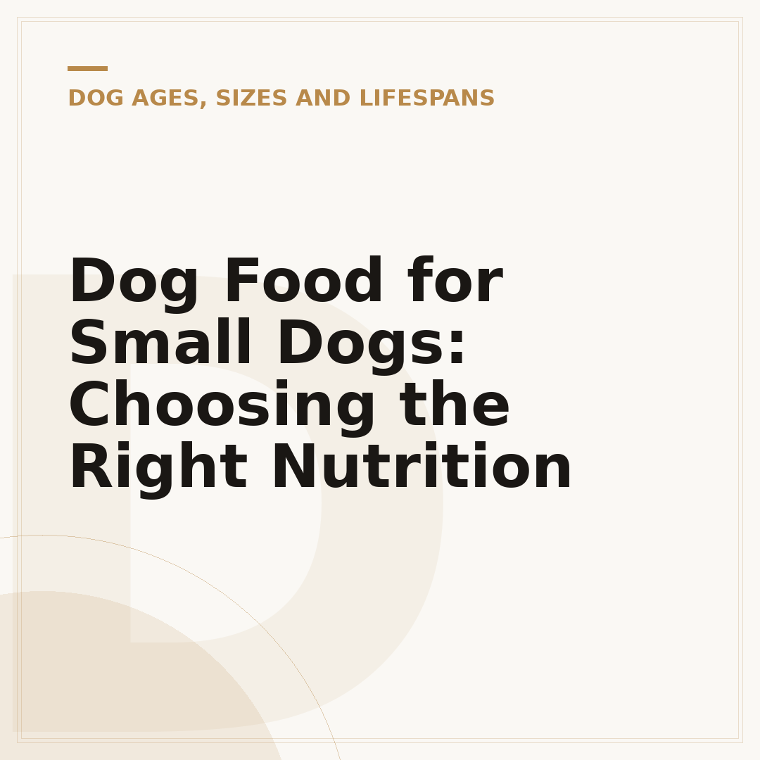 Dog Food for Small Dogs: Choosing the Right Nutrition