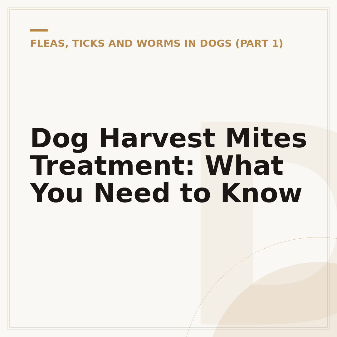 Dog Harvest Mites Treatment: What You Need to Know
