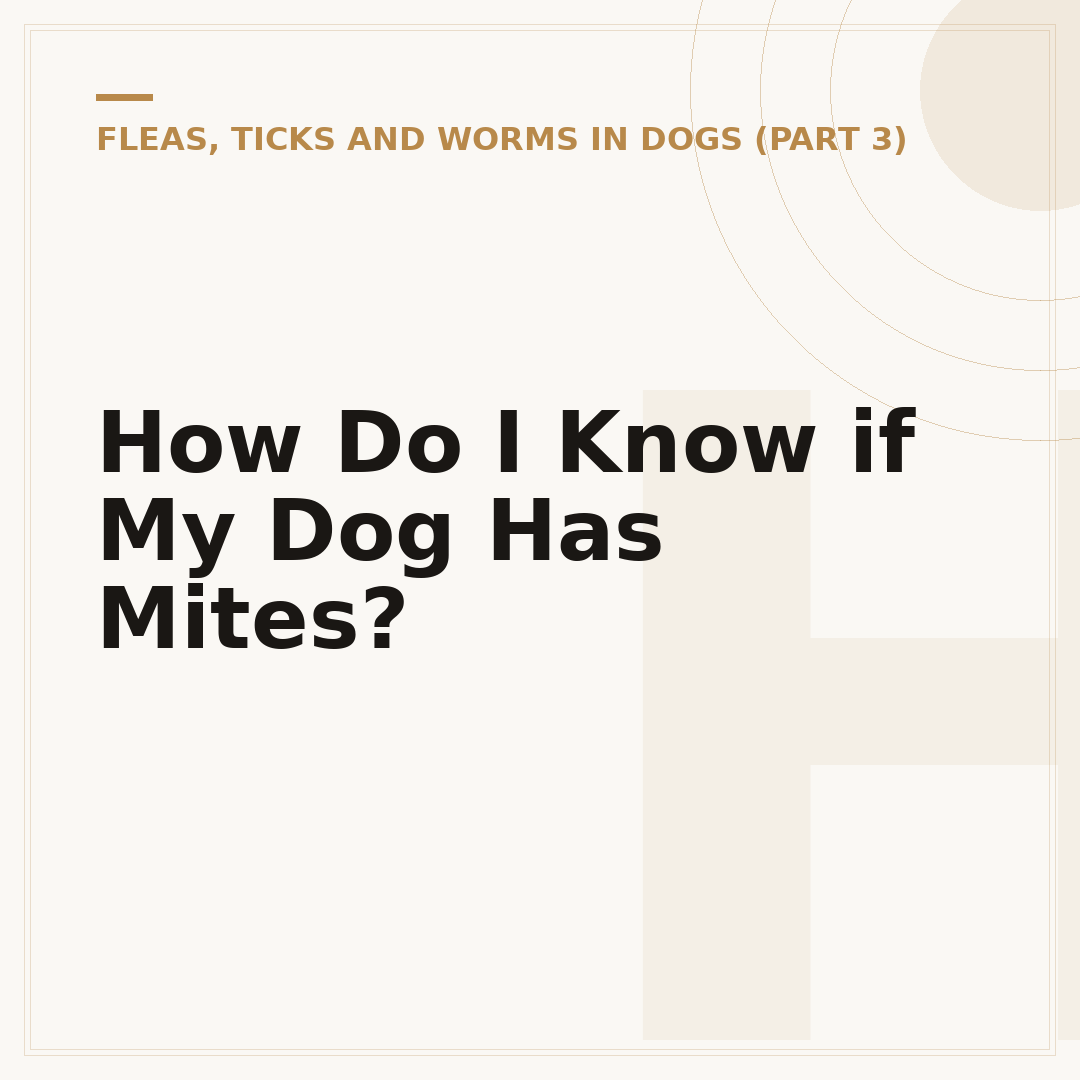 How Do I Know if My Dog Has Mites?