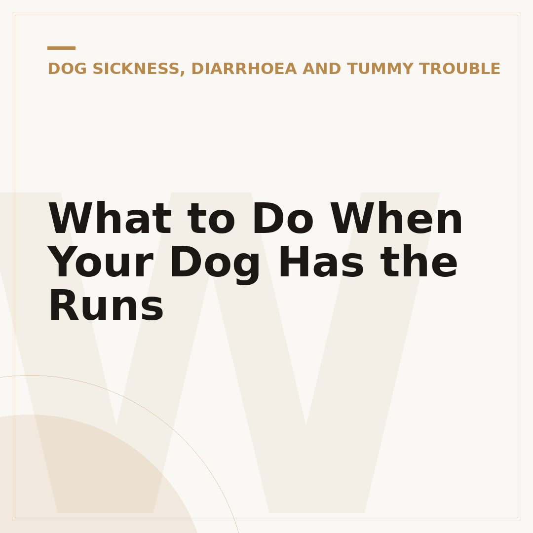 What to Do When Your Dog Has the Runs