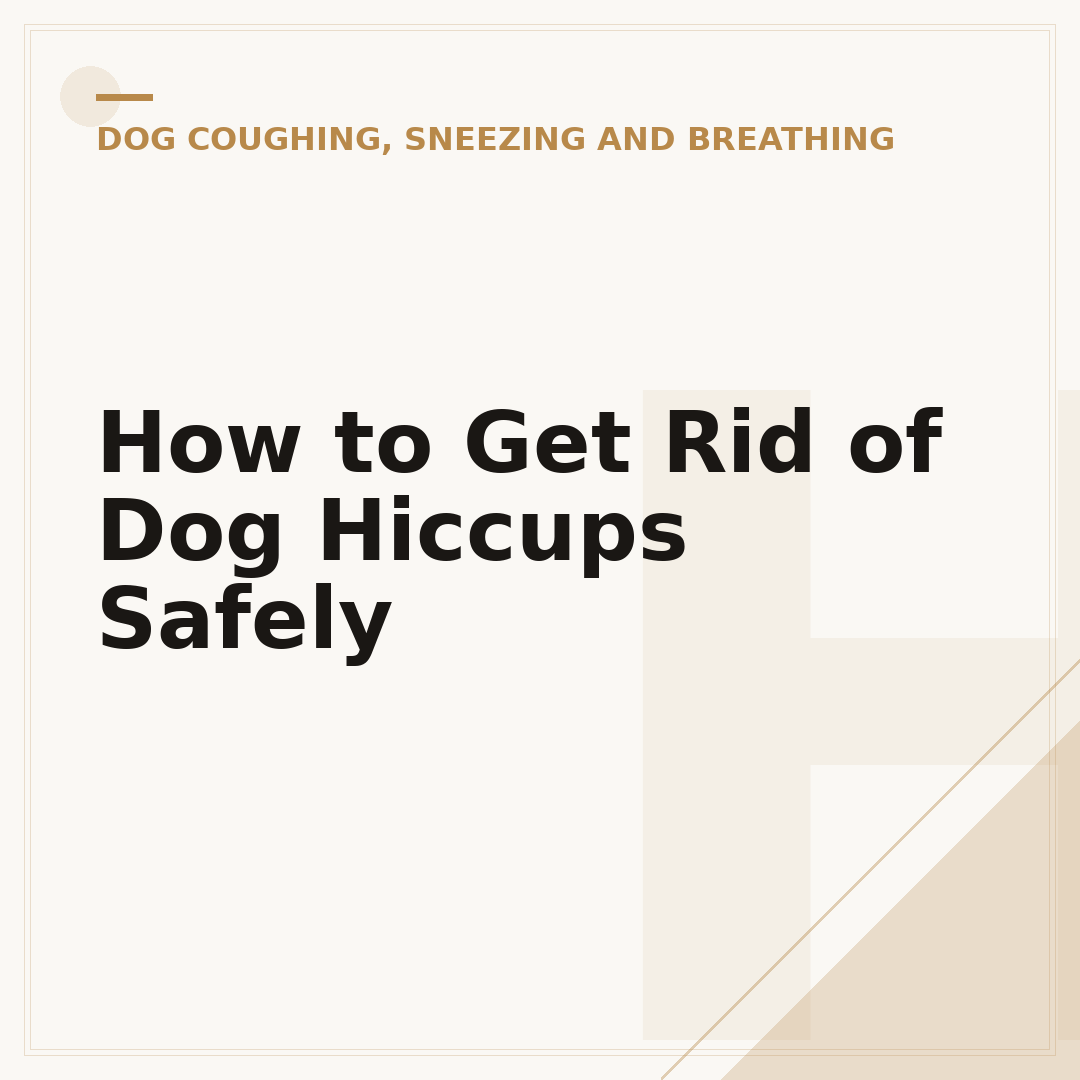 How to Get Rid of Dog Hiccups Safely