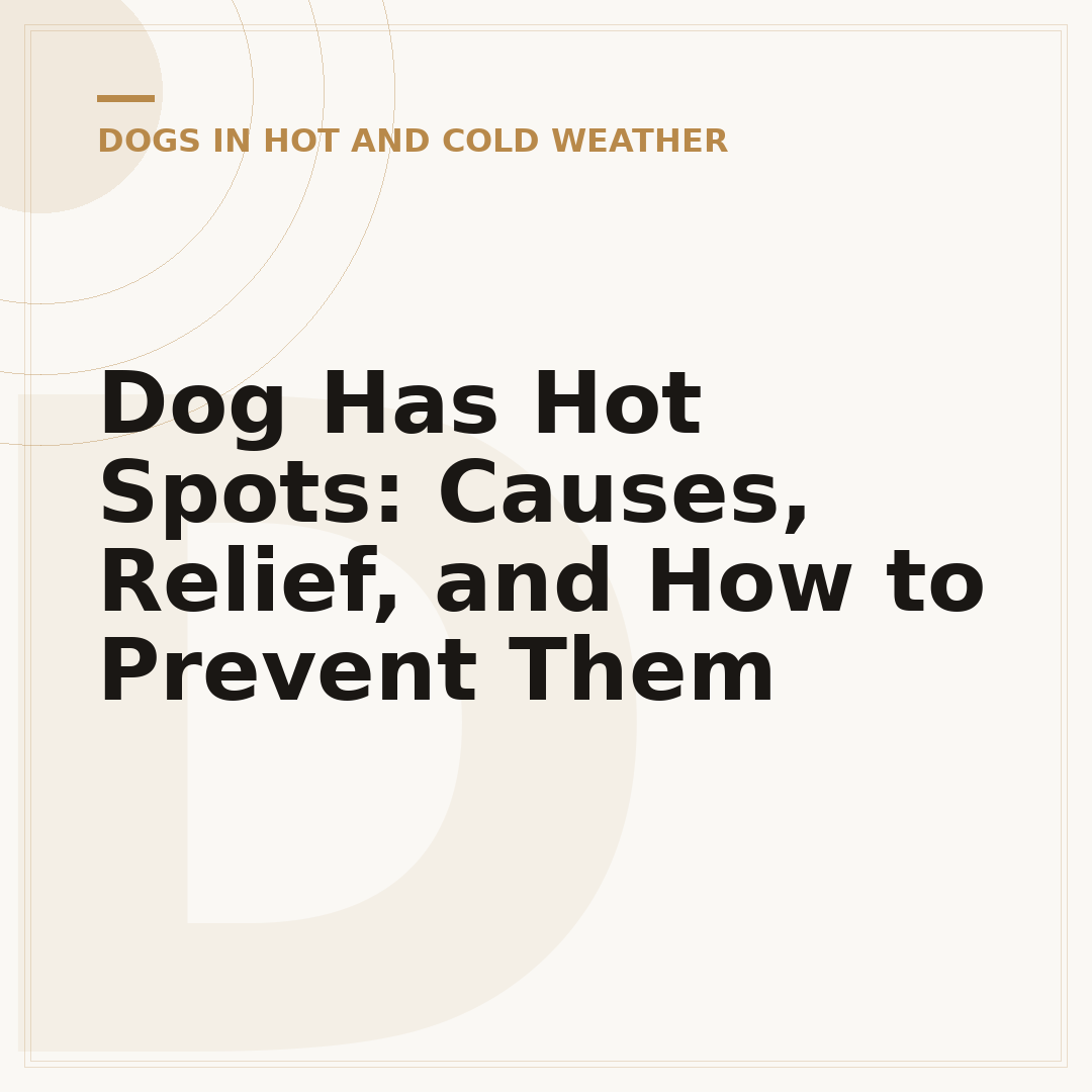 Dog Has Hot Spots: Causes, Relief, and How to Prevent Them