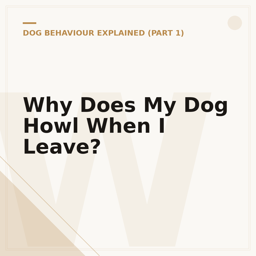 Why Does My Dog Howl When I Leave?