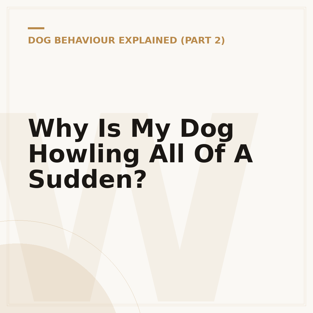 Why Is My Dog Howling All Of A Sudden?