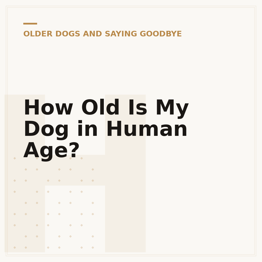 How Old Is My Dog in Human Age?