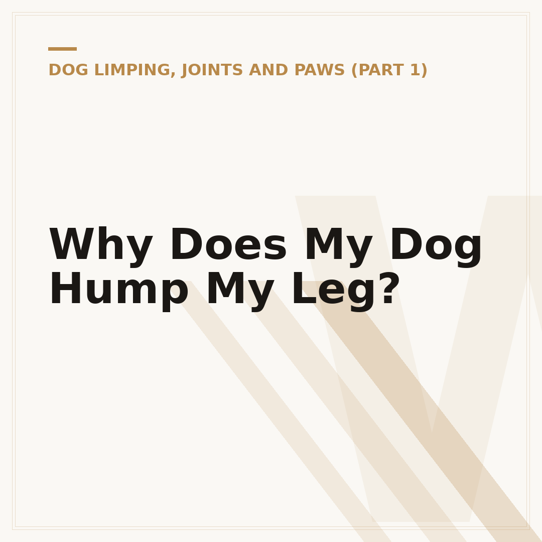Why Does My Dog Hump My Leg?