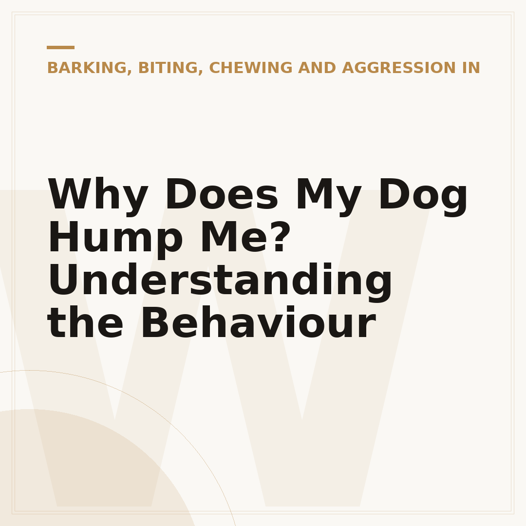 Why Does My Dog Hump Me? Understanding the Behaviour
