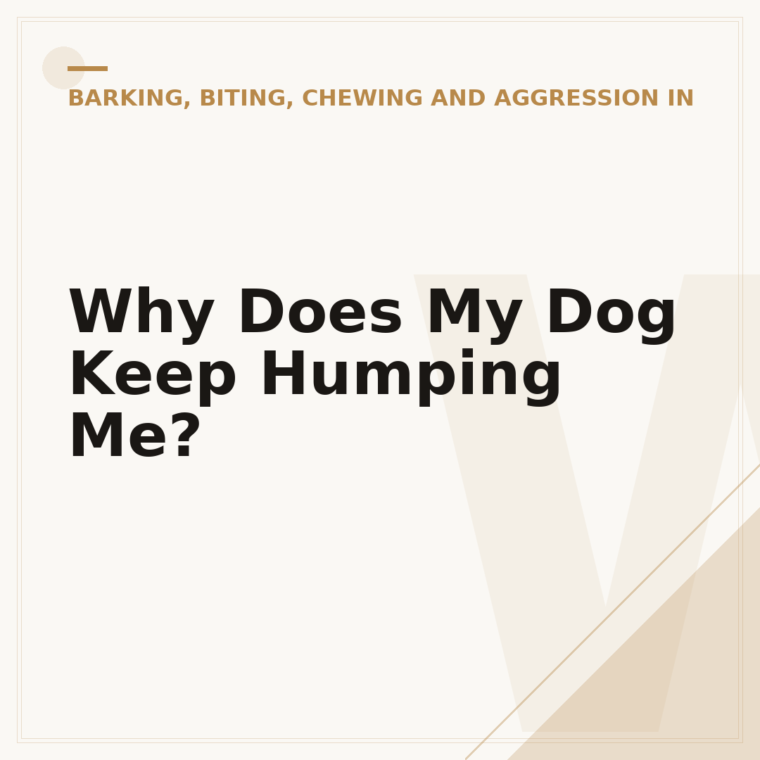 Why Does My Dog Keep Humping Me?