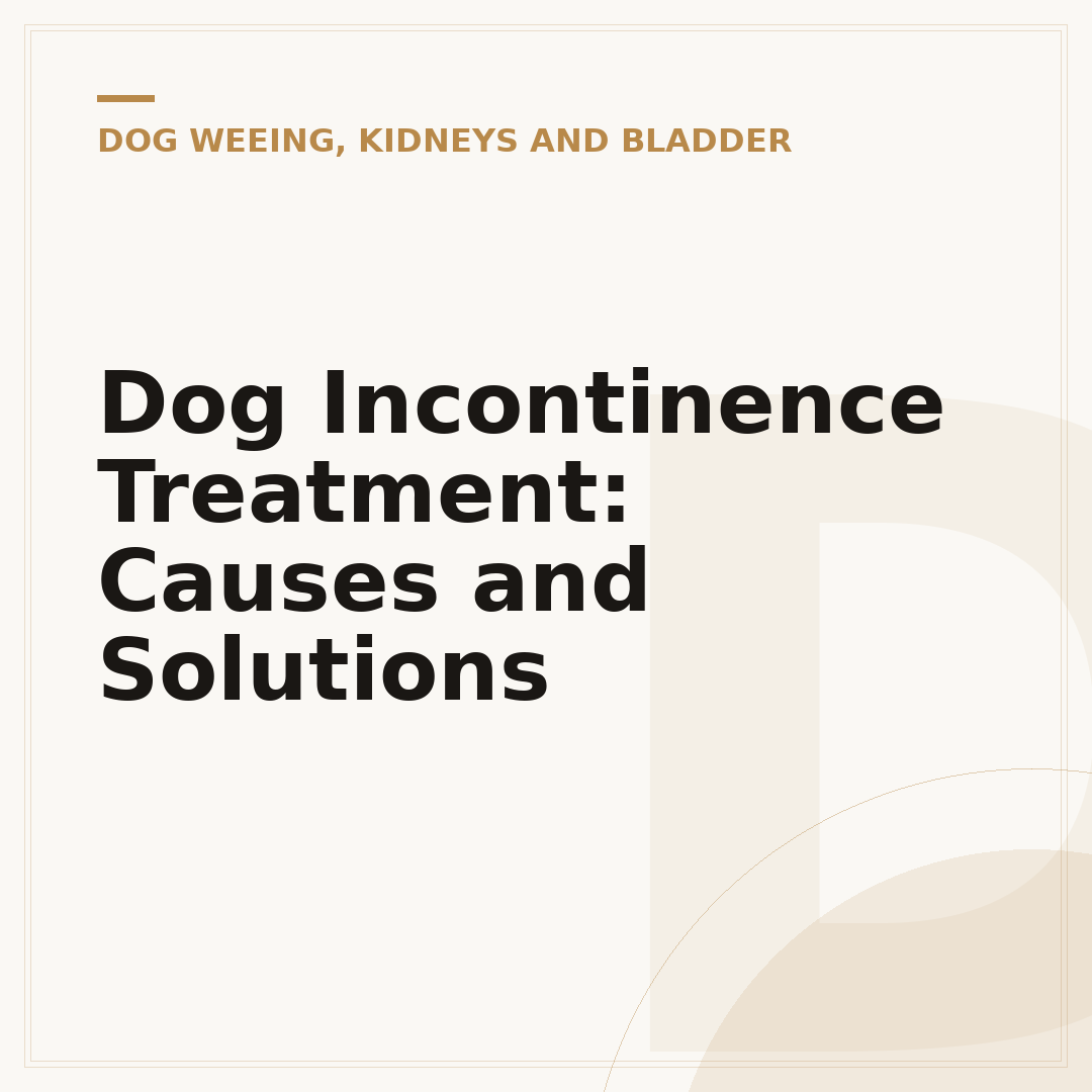 Dog Incontinence Treatment: Causes and Solutions