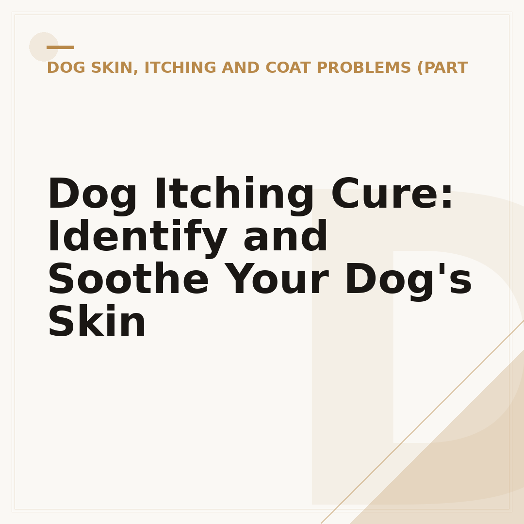 Dog Itching Cure: Identify and Soothe Your Dog's Skin