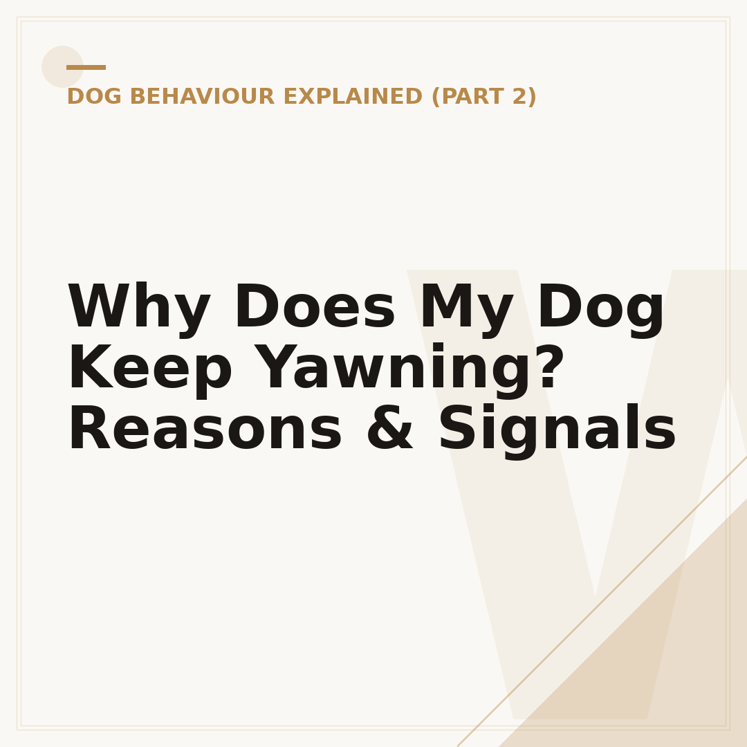 Why Does My Dog Keep Yawning? Reasons & Signals