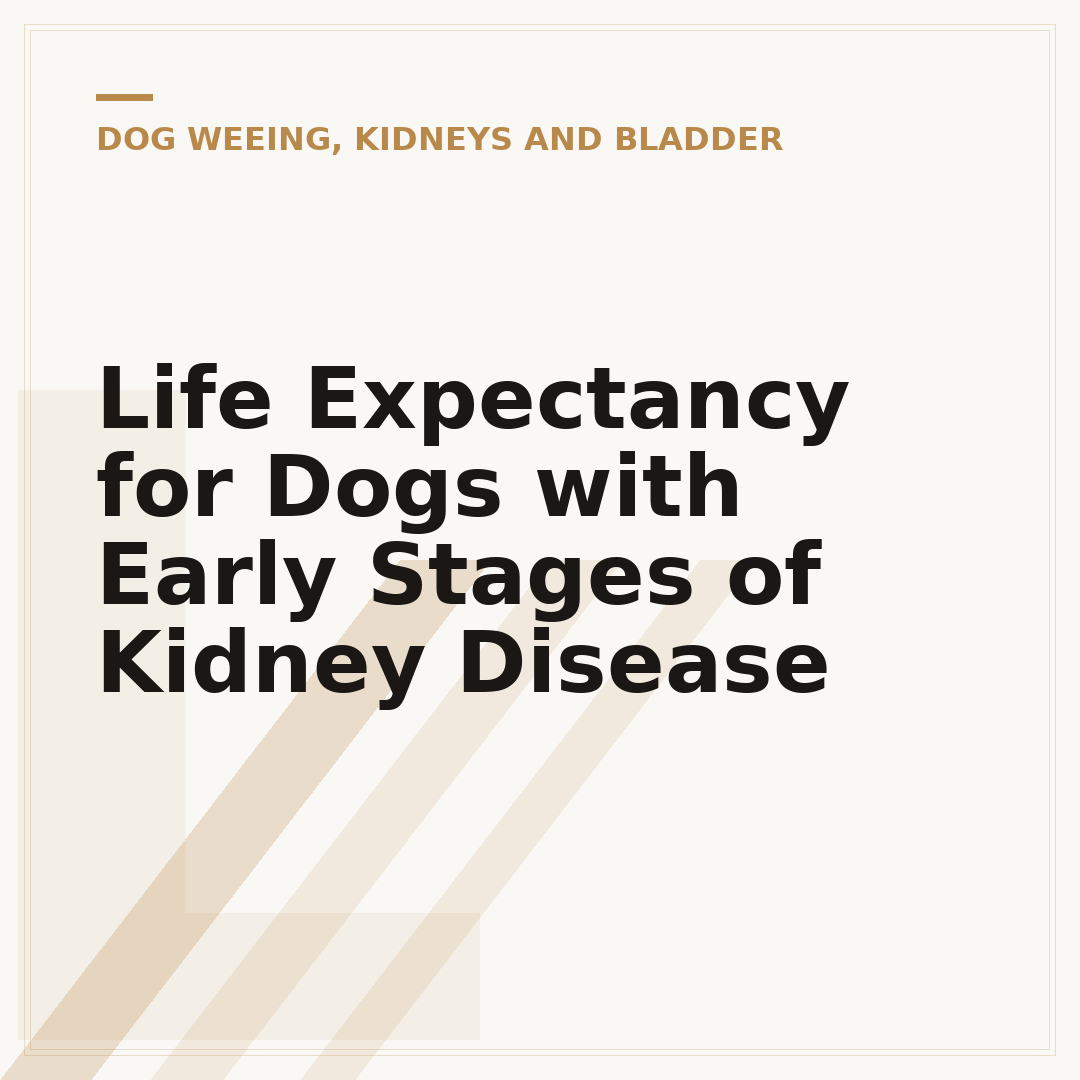 Life Expectancy for Dogs with Early Stages of Kidney Disease