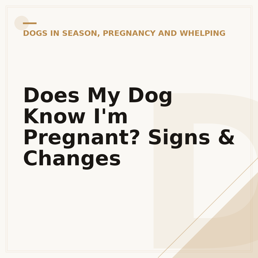 Does My Dog Know I'm Pregnant? Signs & Changes
