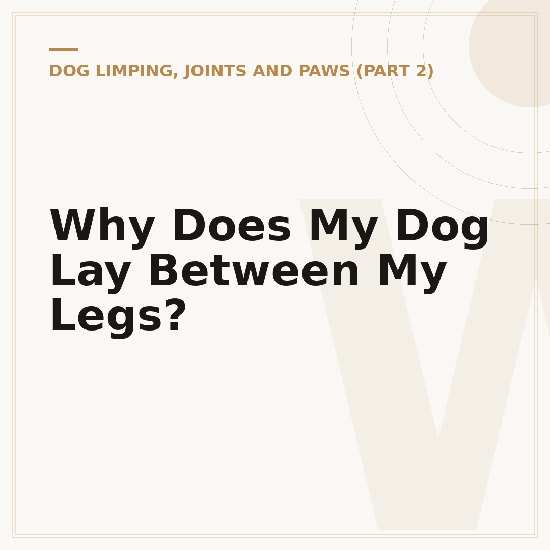 Why Does My Dog Lay Between My Legs?