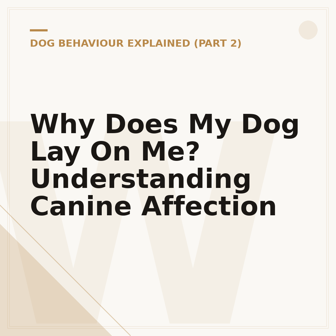 Why Does My Dog Lay On Me? Understanding Canine Affection