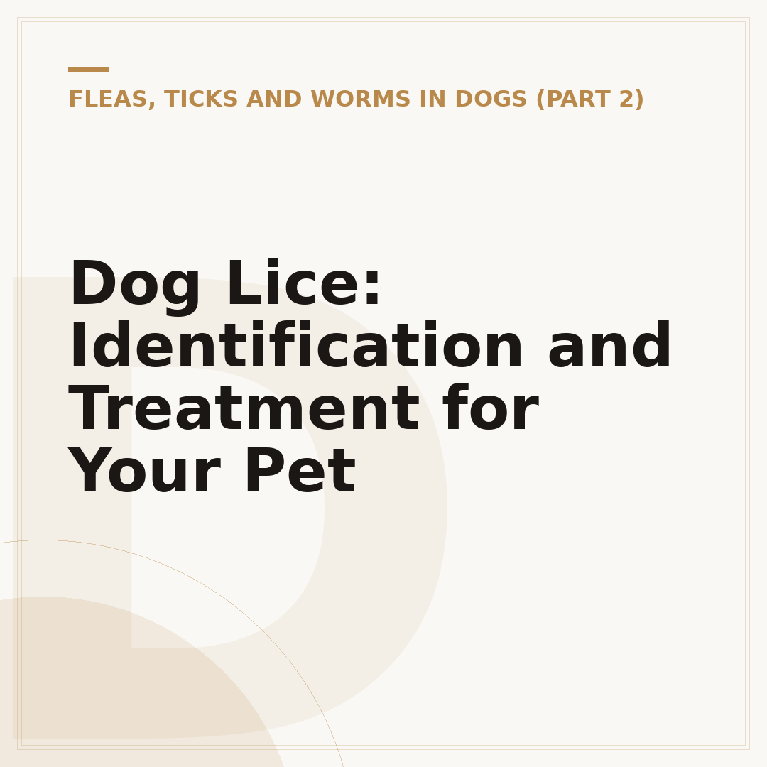 Dog Lice: Identification and Treatment for Your Pet