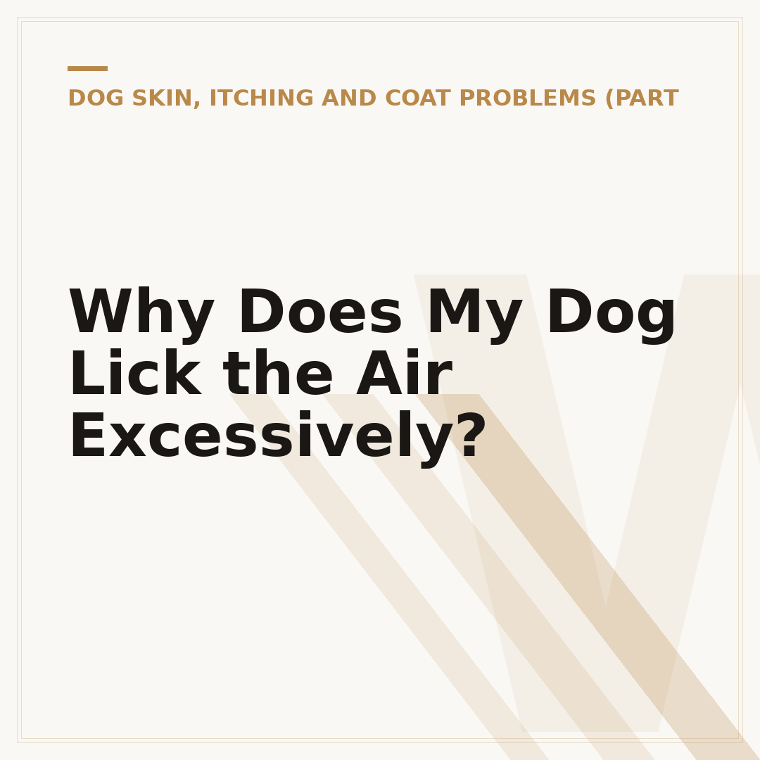 Why Does My Dog Lick the Air Excessively?