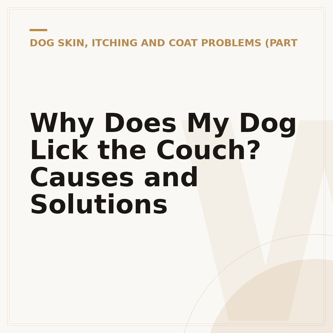 Why Does My Dog Lick the Couch? Causes and Solutions