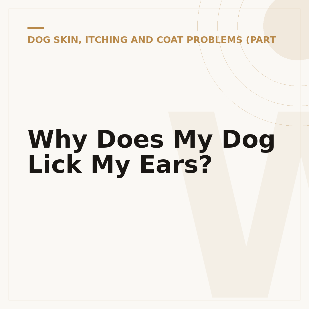 Why Does My Dog Lick My Ears?