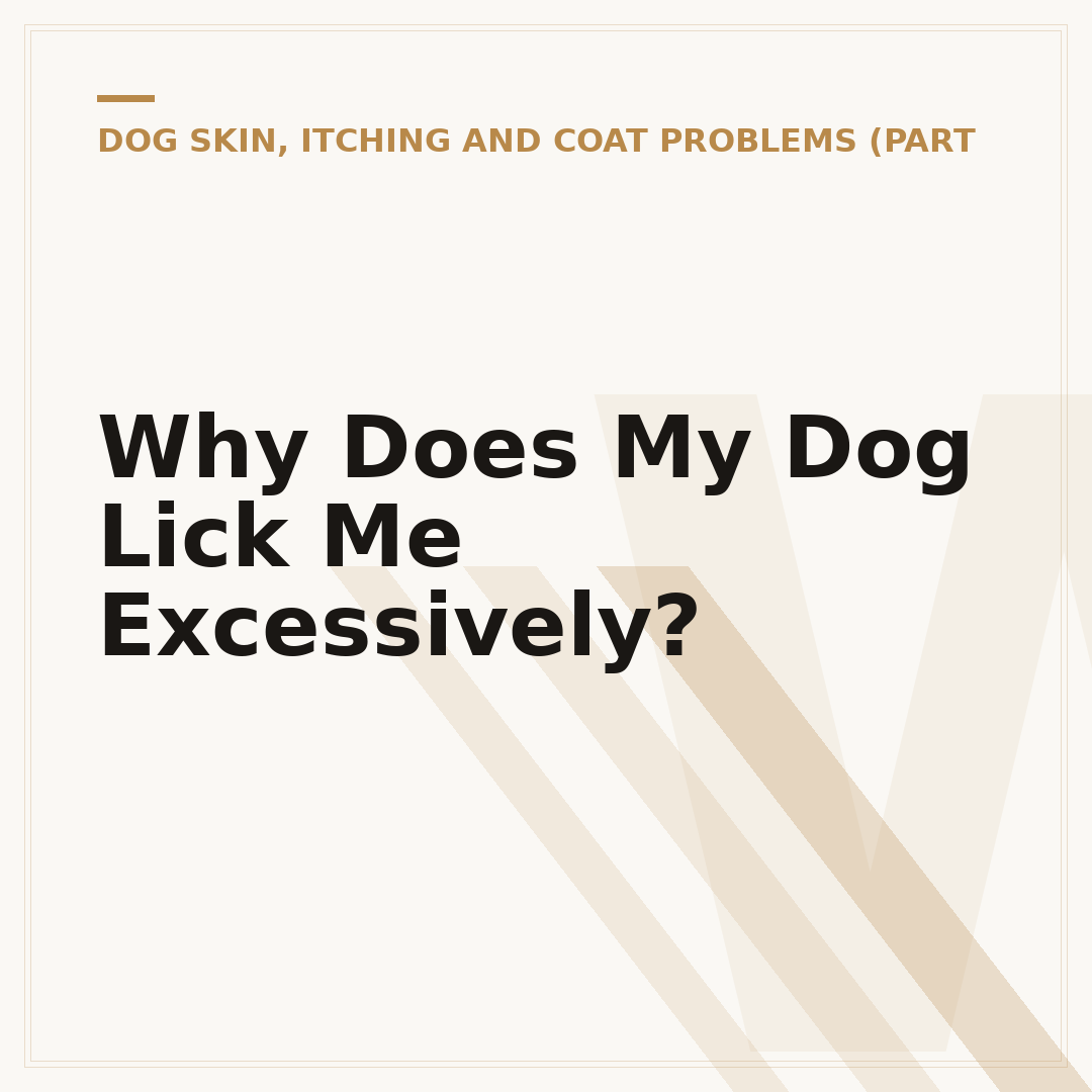 Why Does My Dog Lick Me Excessively?
